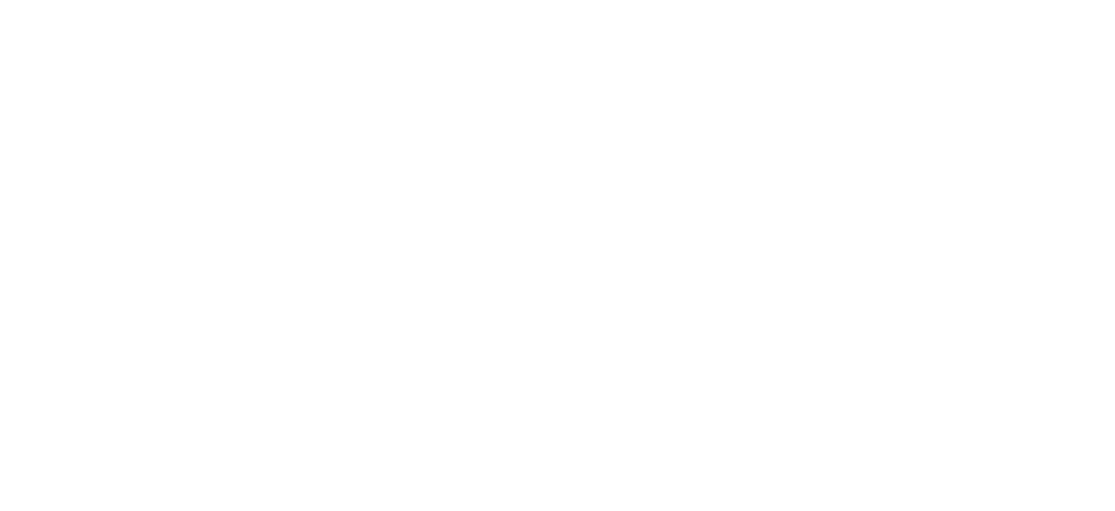 Women in Aviation International